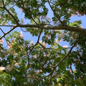 Meet your Posher, Tove